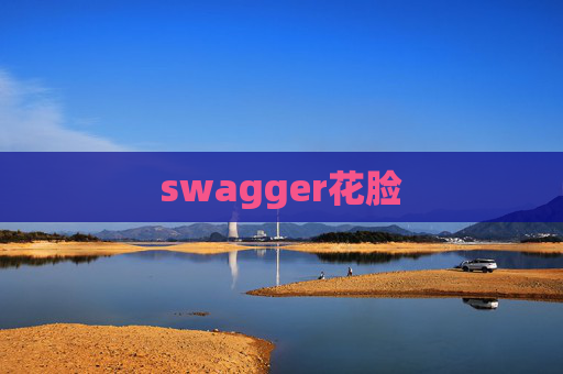 swagger花脸 swagger花脸